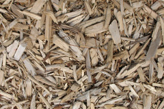 biomass boilers Trewartha
